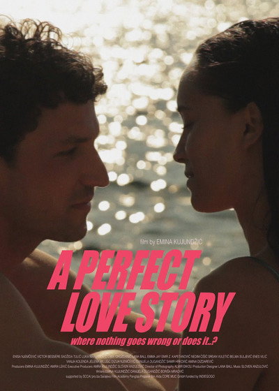 Póster de A Perfect Love Story Where Nothing Goes Wrong or Does It..?