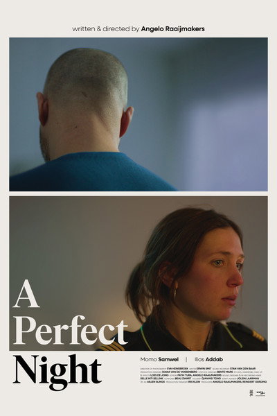 Póster de A Perfect Night
