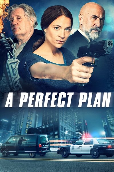 Póster de A Perfect Plan