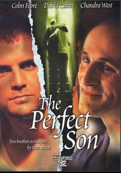 Póster de A Perfect Son