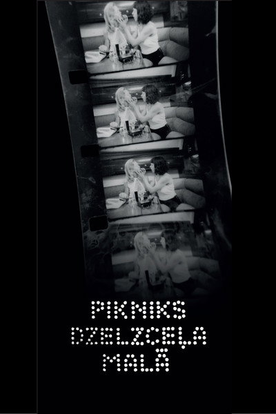 Póster de A Picninc by the Railway