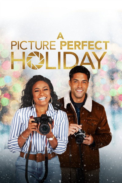 Póster de A Picture Perfect Holiday