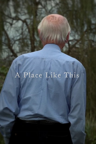 Póster de A Place Like This
