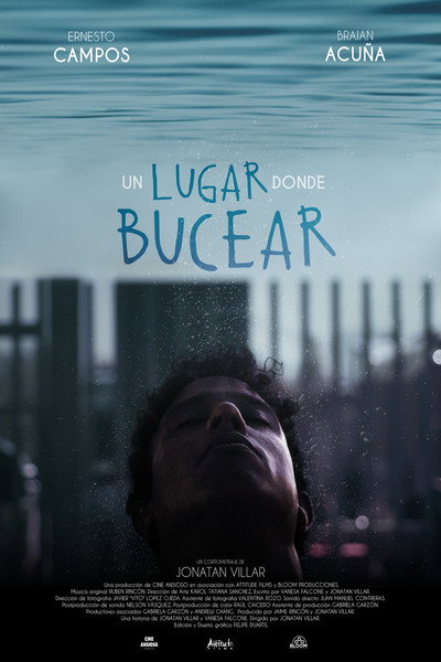 Póster de A Place to Dive