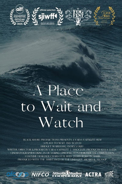 Póster de A Place to Wait and Watch