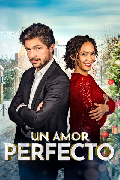 Póster de A Playful Romance
