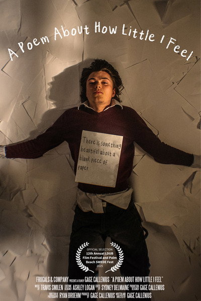 Póster de A Poem About How Little I Feel