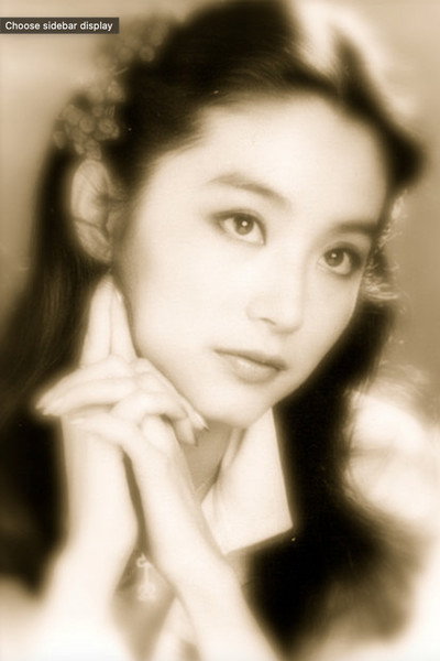 Póster de A Portrait of Lin Ching Hsia
