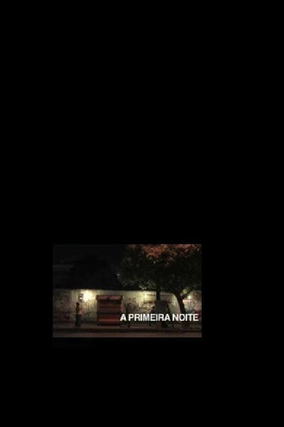 Póster de A Primeira Noite