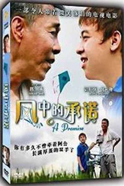 Póster de A Promise