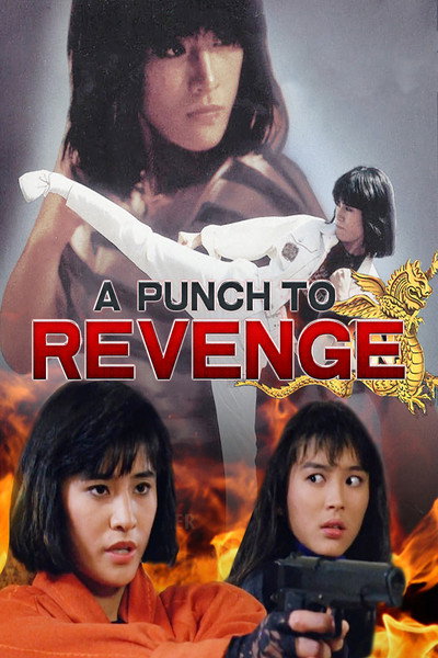 Póster de A Punch to Revenge