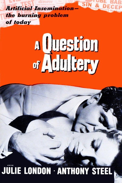 Póster de A Question of Infidelity