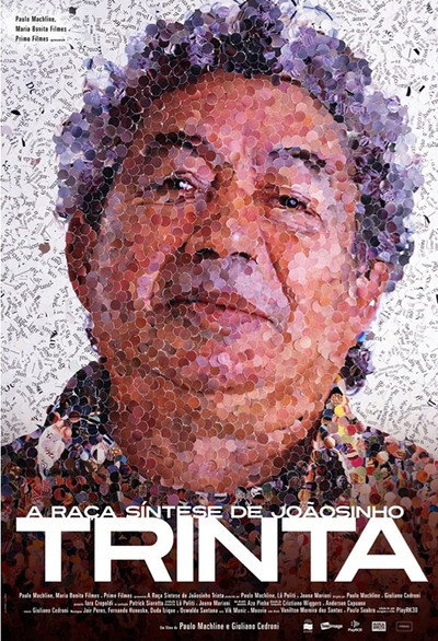 Póster de A Raça Síntese de Joãosinho Trinta