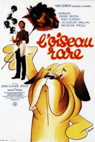Póster de A Rare Bird