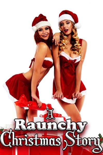 Póster de A Raunchy Christmas Story
