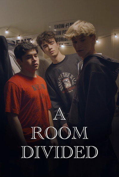 Póster de A Room Divided