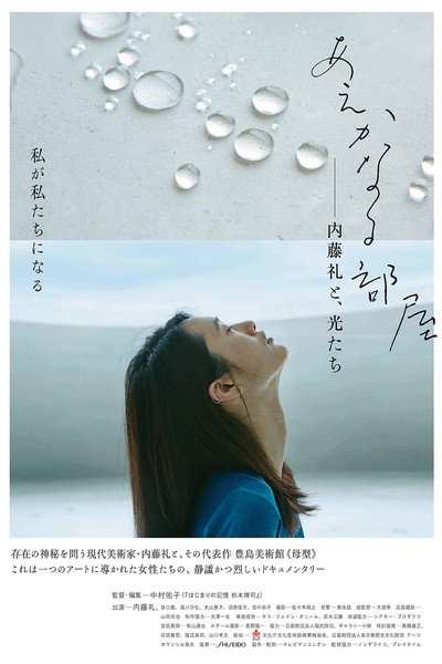 Póster de A Room of Her Own: Rei Naito and Light
