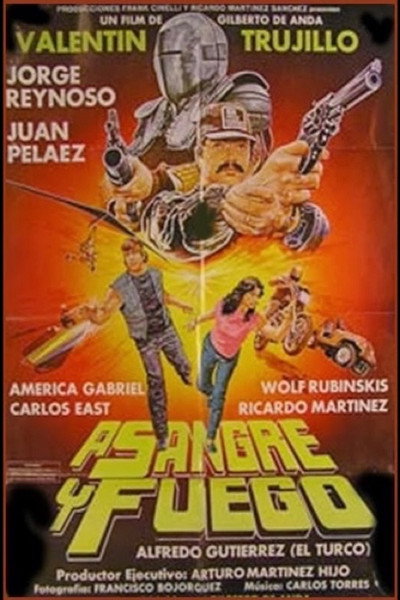 Póster de A sangre y fuego