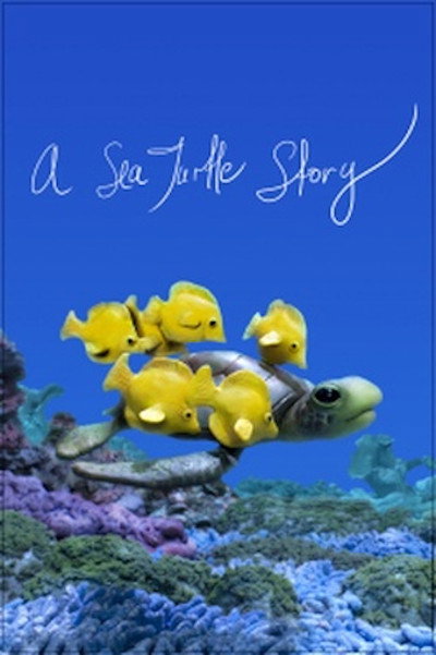 Póster de A Sea Turtle Story