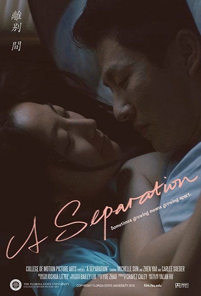 Póster de A Separation