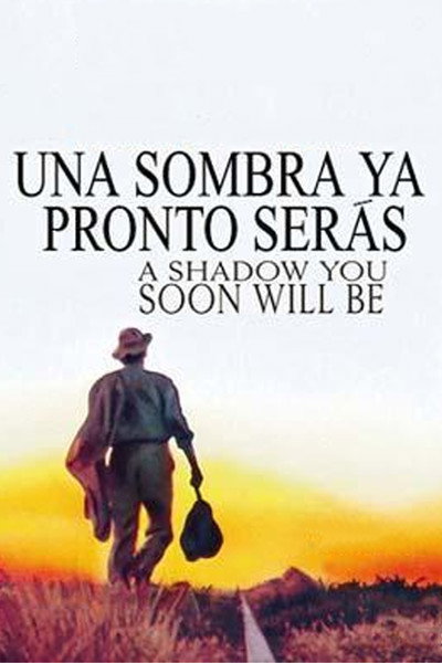 Póster de A Shadow You Soon Will Be