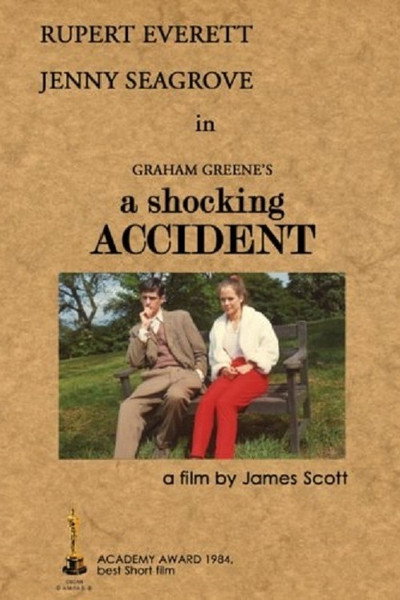 Póster de A Shocking Accident