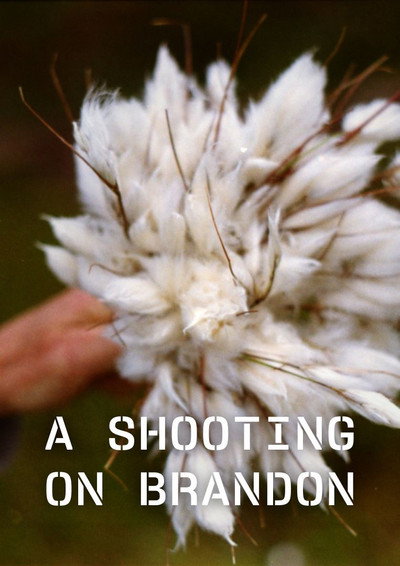 Póster de A Shooting on Brandon