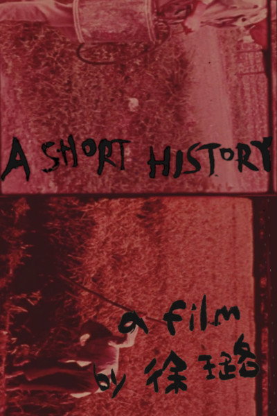 Póster de A Short History