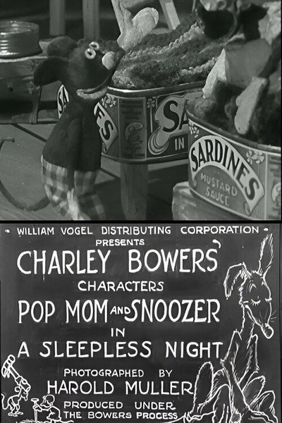 Póster de A Sleepless Night
