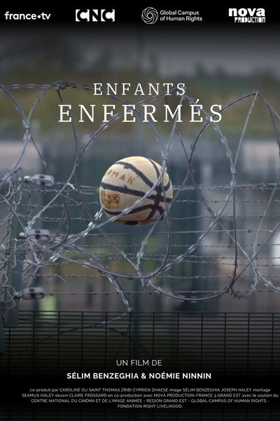 Póster de A Slide and Barbed Wires