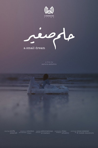 Póster de A Small Dream