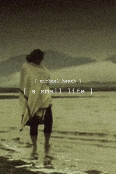 Póster de A Small Life