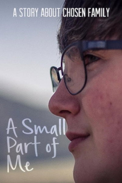 Póster de A Small Part of Me