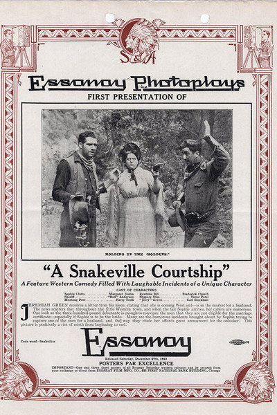 Póster de A Snakeville Courtship
