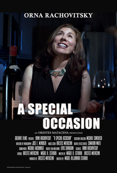 Póster de A Special Occasion