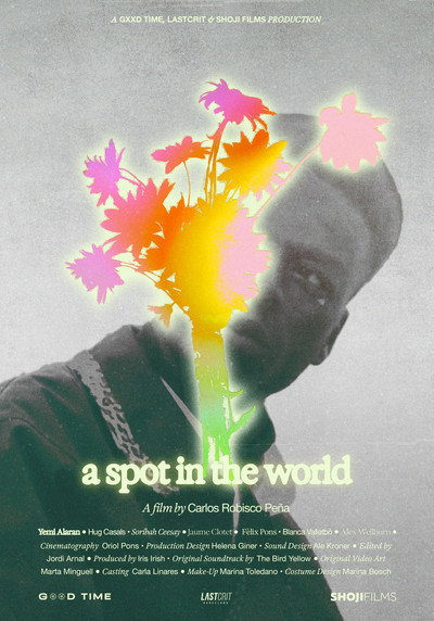 Póster de A spot in the world