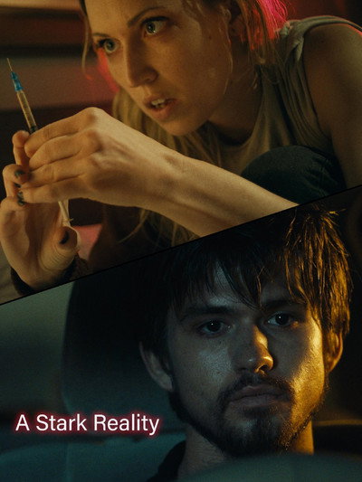 Póster de A Stark Reality