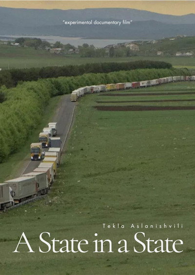 Póster de A state in a state