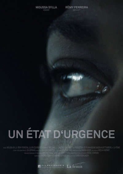 Póster de A State of Emergency
