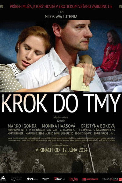 Póster de A Step Into the Dark