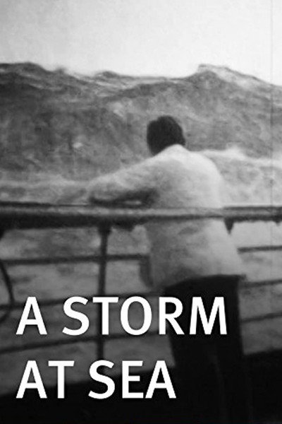 Póster de A Storm at Sea