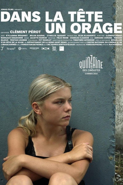 Póster de A Storm Inside