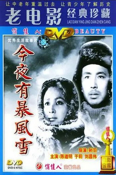 Póster de A Storm Will Come Tonight