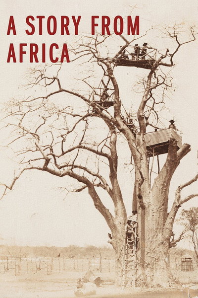 Póster de A Story from Africa