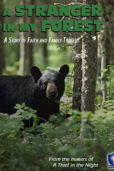 Póster de A Stranger in My Forest