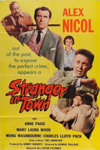Póster de A Stranger in Town