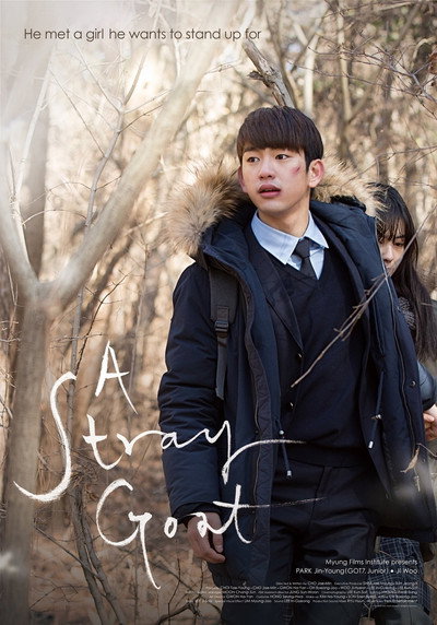 Póster de A Stray Goat