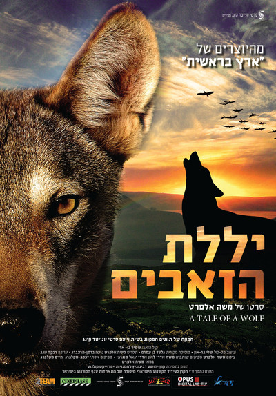 Póster de A Tale of a Wolf