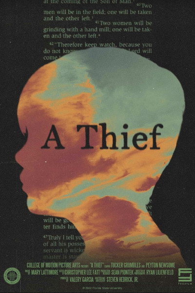 Póster de A Thief