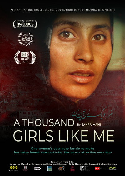 Póster de A Thousand Girls Like Me
